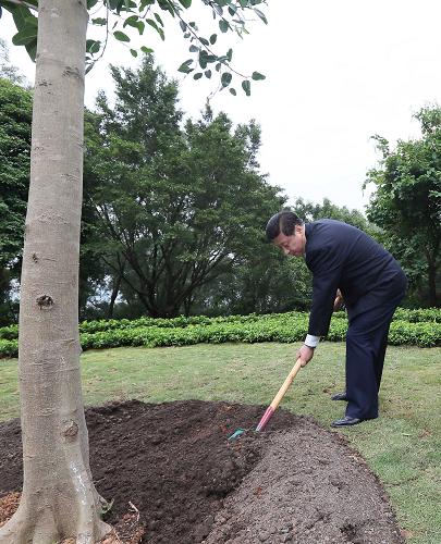 2012年12月7日至11日，習近平在廣東省考察工作。這是8日上午，習近平在深圳蓮花山公園種下一棵高山榕樹(shù)。新華社記者 蘭紅光 攝